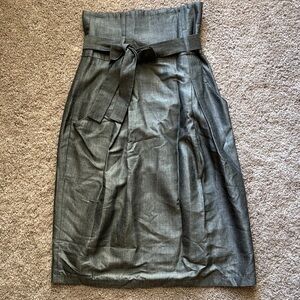 Elegant Gray Women's Skirt